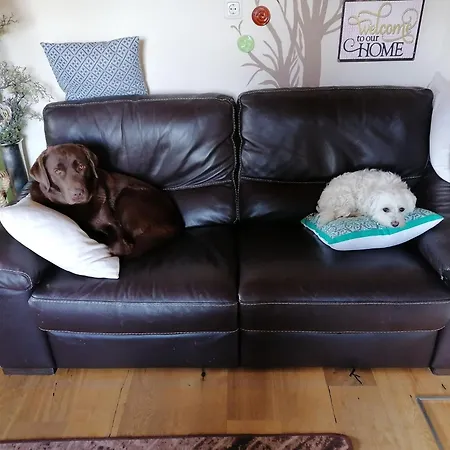 Peaceful In Salzburg Near Area 公寓 皮森多夫