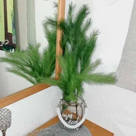 Peaceful In Salzburg Near Area * ピーゼンドルフ