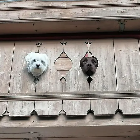 Peaceful In Salzburg Near Area Appartement *