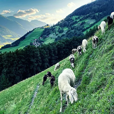 Peaceful In Salzburg Near Area * Piesendorf