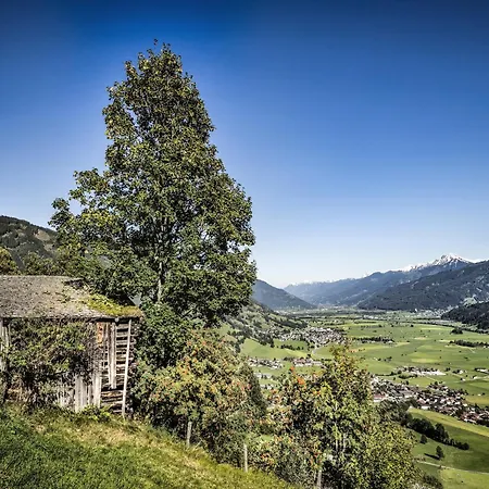 Peaceful In Salzburg Near Area *
