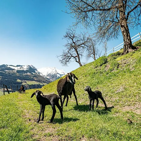 Peaceful In Salzburg Near Area * Piesendorf