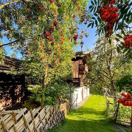 Peaceful In Salzburg Near Area