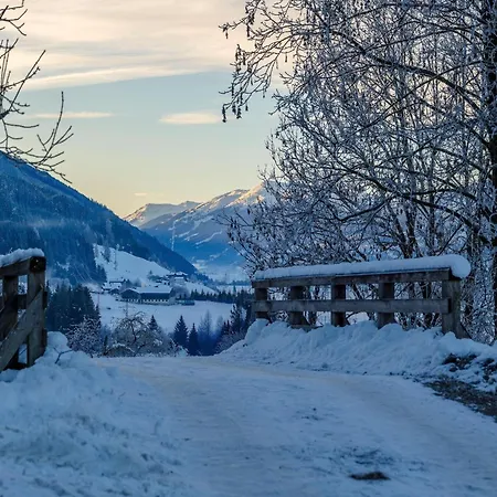 Apartment Peaceful In Salzburg Near Area *