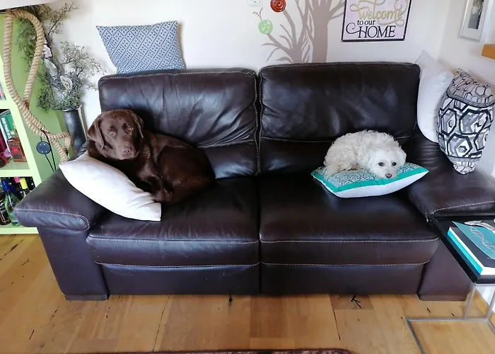 Peaceful In Salzburg Near Area Апартаменты Пизендорф