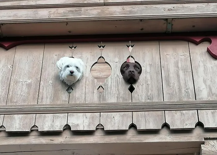 Peaceful In Salzburg Near Area Lejlighed *